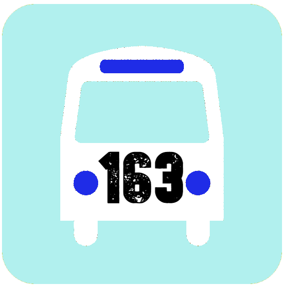 Línea 163 colectivo
